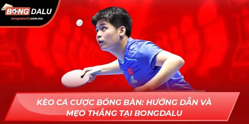 Kèo Cá Cược Bóng Bàn: Hướng Dẫn Và Mẹo Thắng Tại Bongdalu